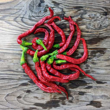 Hangjiao 5 Helix Nebula Chili Pepper Hangjiao 5 Helix Nebula Chili Pepper