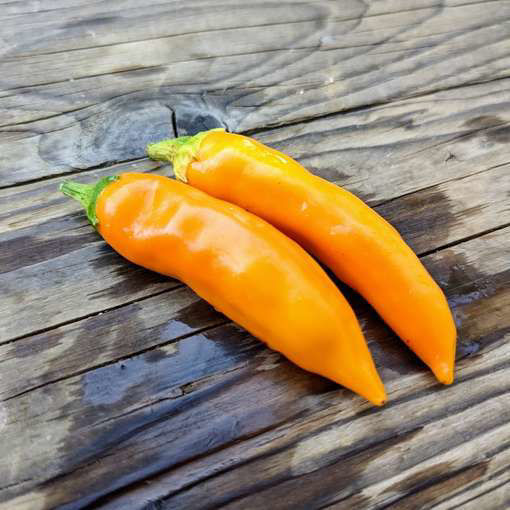 Bulgarian Carrot Chili Pepper