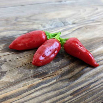 NuMex Christmas NuMex Christmas