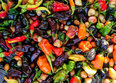 Show products in category Chili Peppers Picture for category Chili Peppers