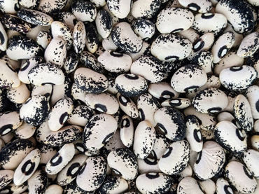 Show products in category Legumes Picture for category Legumes