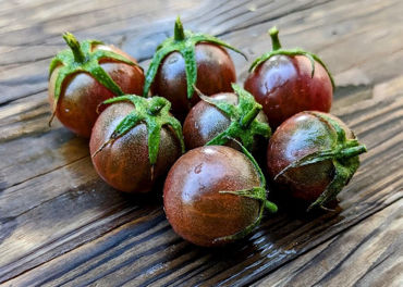 Show products in category Cherry Picture for category Cherry