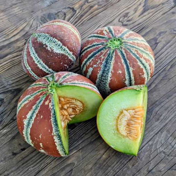 Melon Kajari Melon Kajari