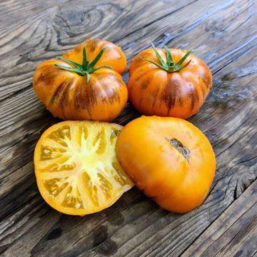 Wolverine Beefsteak Tomato Wolverine Beefsteak Tomato