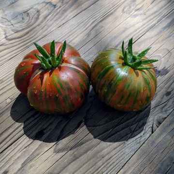 Girl Girl’s Weird Thing Beefsteak Tomato Girl Girl’s Weird Thing Beefsteak Tomato