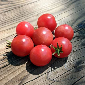 Ditmarsher Tomato Ditmarsher Tomato