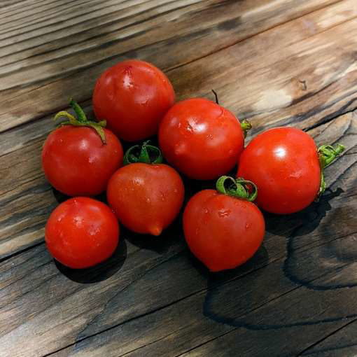 Baby Micro Dwarf Tomato