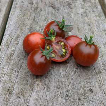 Cherry Tomato Brown Micro Dwarf Tomato Cherry Tomato Brown Micro Dwarf Tomato