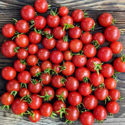 Decotomate Micro Dwarf Tomato