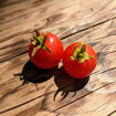 Decotomate Micro Dwarf Tomato