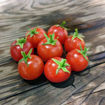 Gothic Micro Dwarf Tomato