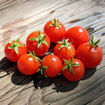 Little Mo Micro Dwarf Tomato