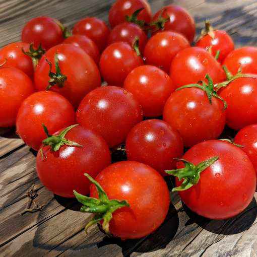 Nepas II Micro Dwarf Tomato