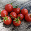 Pinocchio Red Micro Dwarf Tomato