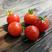 Pummelfee Micro Dwarf Tomato