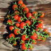 Candy Berry Micro Dwarf Tomato