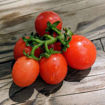 Curly Kaley Micro Dwarf Tomato