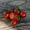 Inkspot Micro Dwarf Tomato