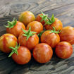 Tigret Red Micro Dwarf Tomato