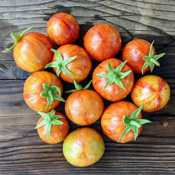 Tigret Red Micro Dwarf Tomato Tigret Red Micro Dwarf Tomato
