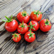 Spunky Bird Micro Dwarf Tomato