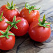 Spunky Bird Micro Dwarf Tomato