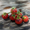 Super Bunny Micro Dwarf Tomato