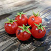 Super Bunny Micro Dwarf Tomato