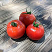 Tiny Totem Micro Dwarf Tomato