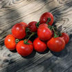 Tiny Totem Micro Dwarf Tomato