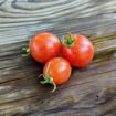 Topless Micro Dwarf Tomato