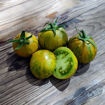 Emerald Flame Mini Dwarf Tomato