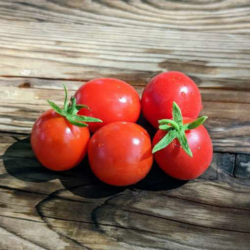 Linda Mini Dwarf Tomato Linda Mini Dwarf Tomato