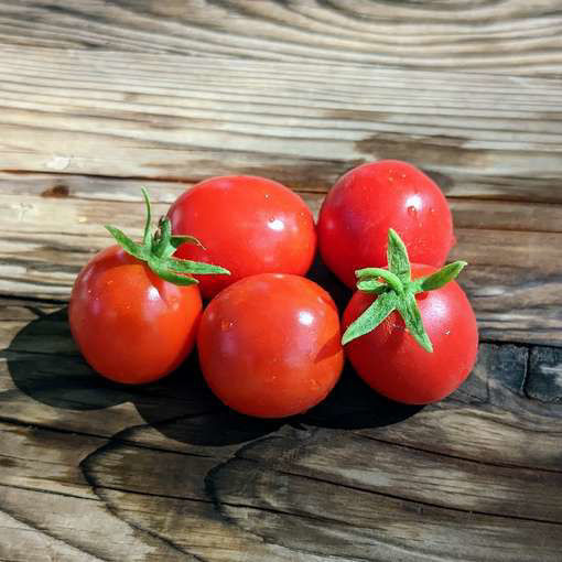 Linda Mini Dwarf Tomato