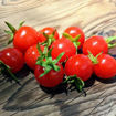 Lukoshko on the Window Mini Dwarf Tomato