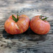 Great Scott Dwarf Tomato Project