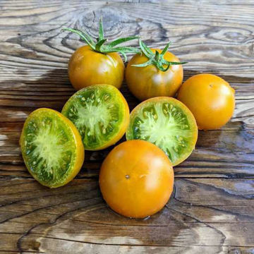 Devil’s Garden Dwarf Tomato Devil’s Garden Dwarf Tomato