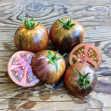 Gondwana Lava Dwarf Tomato Gondwana Lava Dwarf Tomato