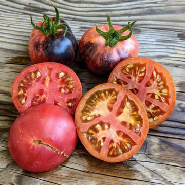 Gondwana Rose Dwarf Tomato Gondwana Rose Dwarf Tomato