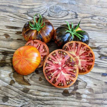 Rebel Starfighter Dippers Delight Dwarf Tomato Rebel Starfighter Dippers Delight Dwarf Tomato
