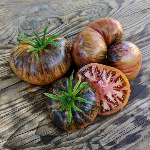 Marsha's Starfighter Beefsteak Tomato