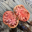 Marsha's Starfighter Beefsteak Tomato