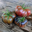 Marsha's Starfighter Beefsteak Tomato