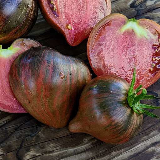 Rebel Starfighter Prime Heart Tomato