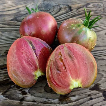 Tundra Beefsteak Tomato Tundra Beefsteak Tomato