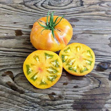 MärchenFrucht Tomato MärchenFrucht Tomato