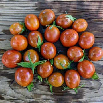 MärchenGranatTomato MärchenGranatTomato