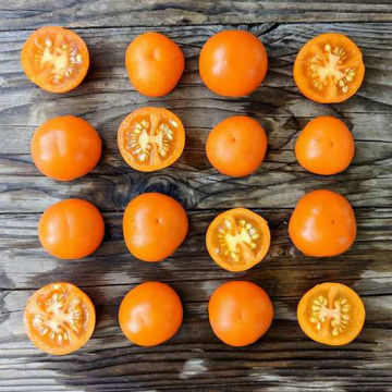 MärchenSnack Tomato MärchenSnack Tomato
