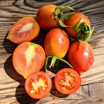 Can Bogunyà Longkeeper Tomato Can Bogunyà Longkeeper Tomato