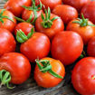 Smoky Mountain Tomato